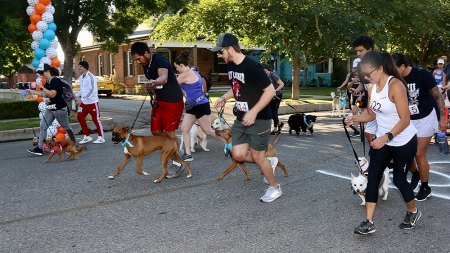 Owners and dogs start the race on Saturday morning.